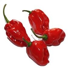 Paprika čili Habanero ypač aštri (fas. 50g) vnt